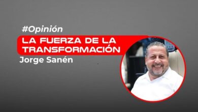 Morena crece desde abajo