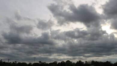 Clima en Baja California Sur: se esperan lluvias aisladas y fuertes vientos