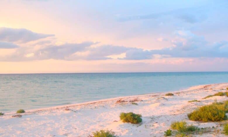 Disfruta de tus vacaciones en estas playas secretas de Yucatán (Foto de internet)