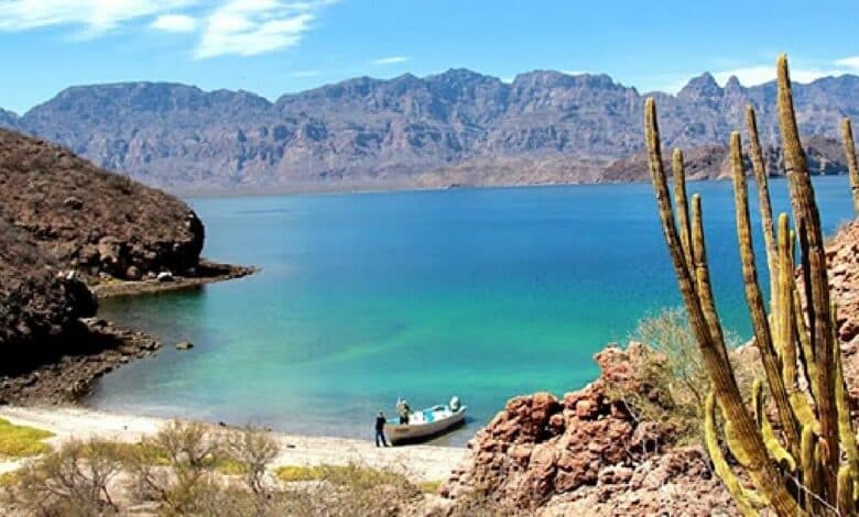 Vacaciones de verano 2025: visita la hermosa isla Danzante (Foto de internet)