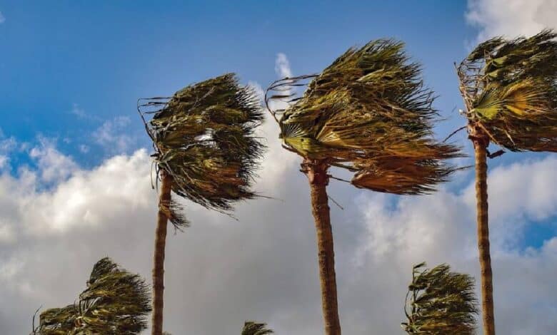 Clima en Baja California Sur: este jueves se esperan tolvaneras a esta hora