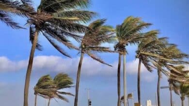 Clima en Baja California Sur: ¿A qué hora habrá tolvaneras en el estado? (Foto de internet)