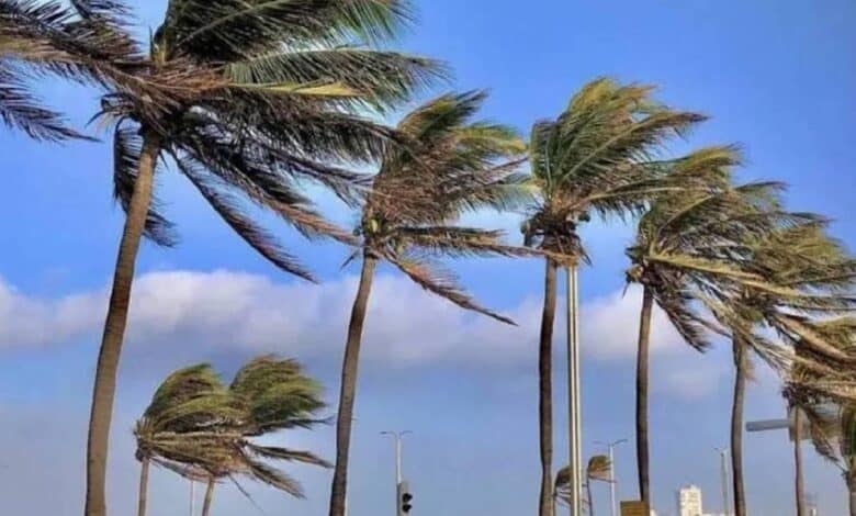 Clima en Baja California Sur: ¿A qué hora habrá tolvaneras en el estado? (Foto de internet)